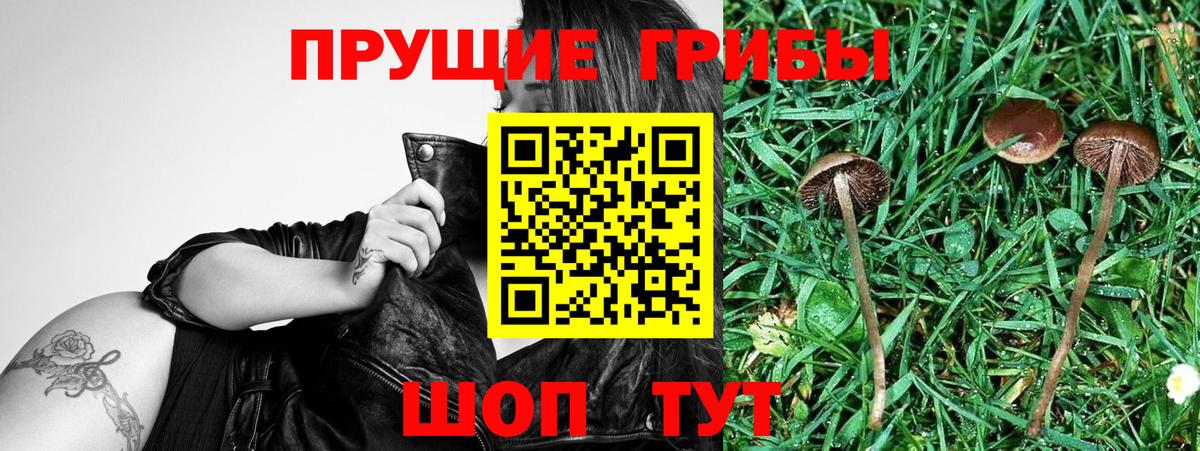 Псилоцибиновые грибы мицелий  Вход с VPN  как найти   Строитель 