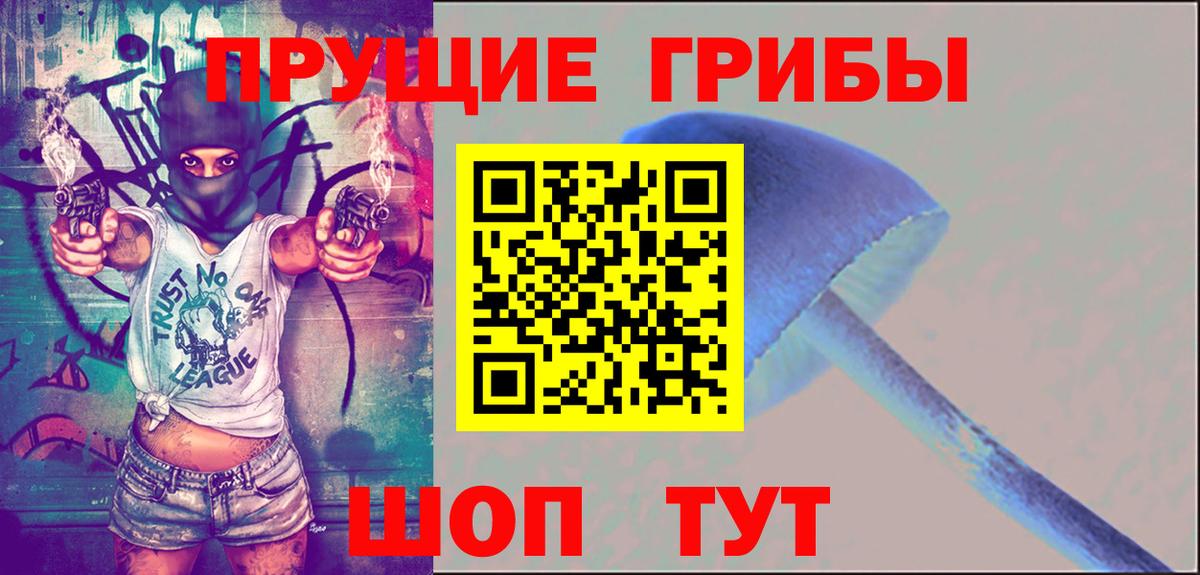 Псилоцибиновые грибы Psilocybe Строитель